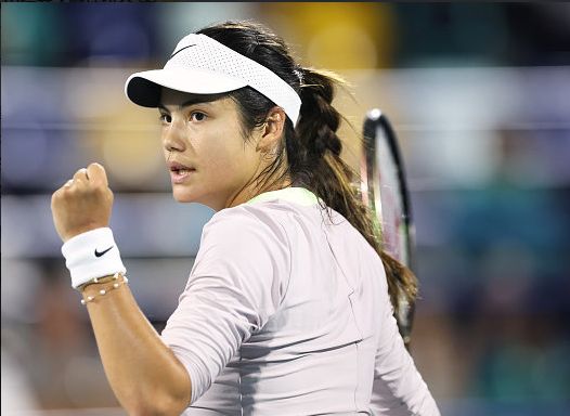 青训生态的 青训生态的